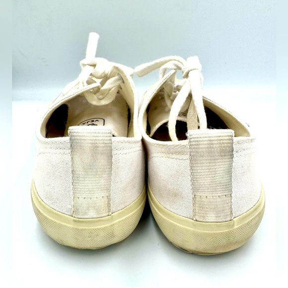 Veja Sz 39 Nova Low Canvas Sneakers - Picture 5 of 6